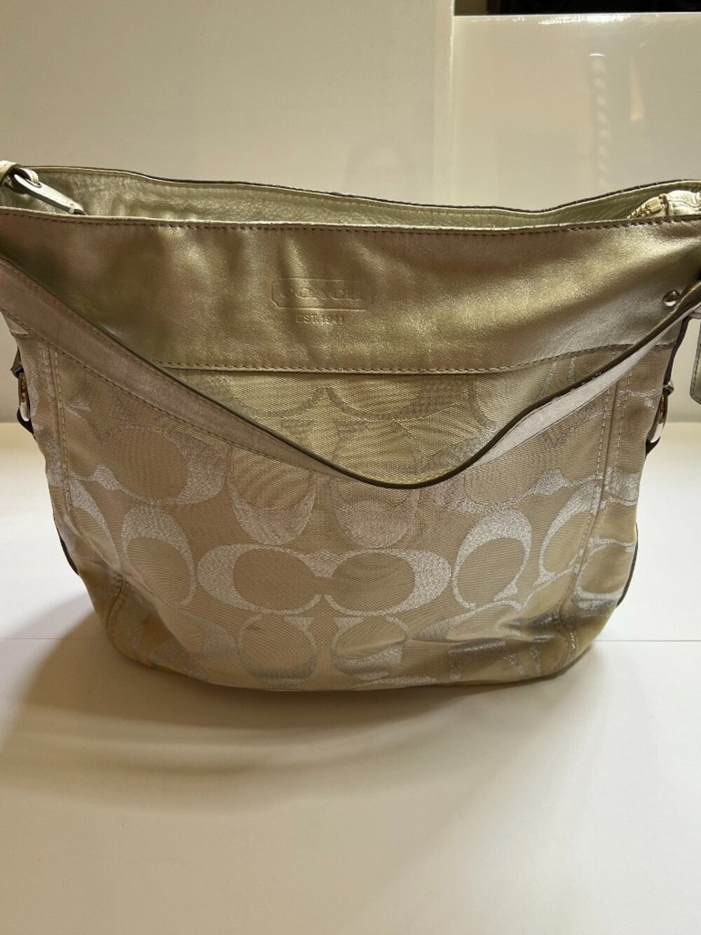 Coach Zoe Signature Hobo Shoulder Bag in Silver